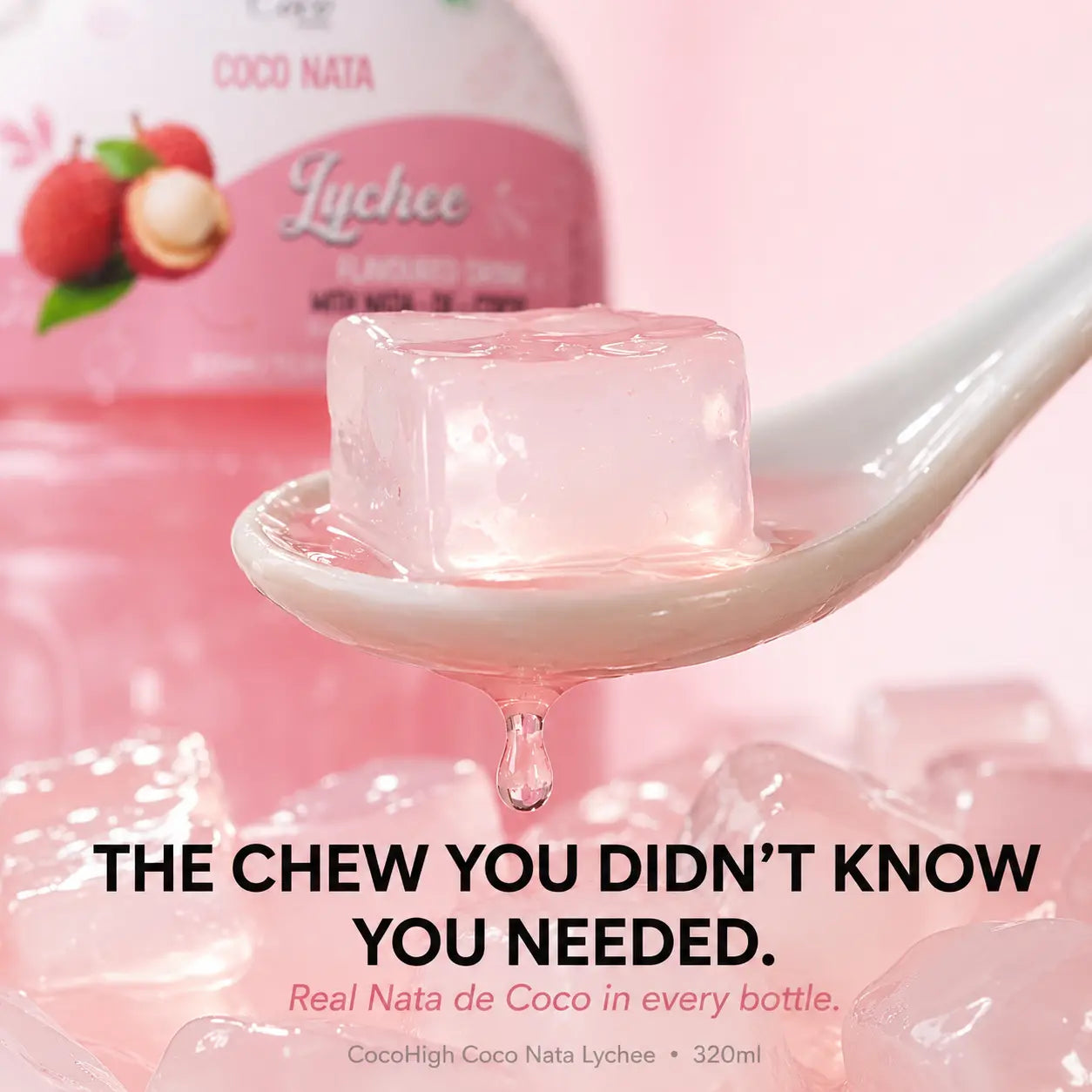 Lychee Juice 25% with NATA De Coco (320ml)